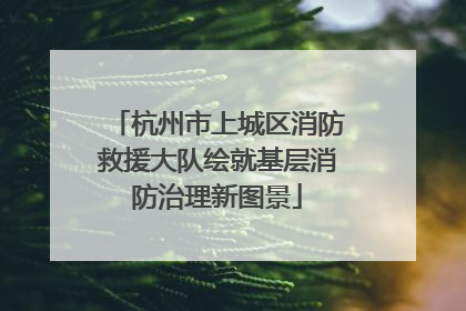 杭州市上城区消防救援大队绘就基层消防治理新图景